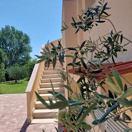 Novouredeni Apartman Marko Mundanije Exterior photo