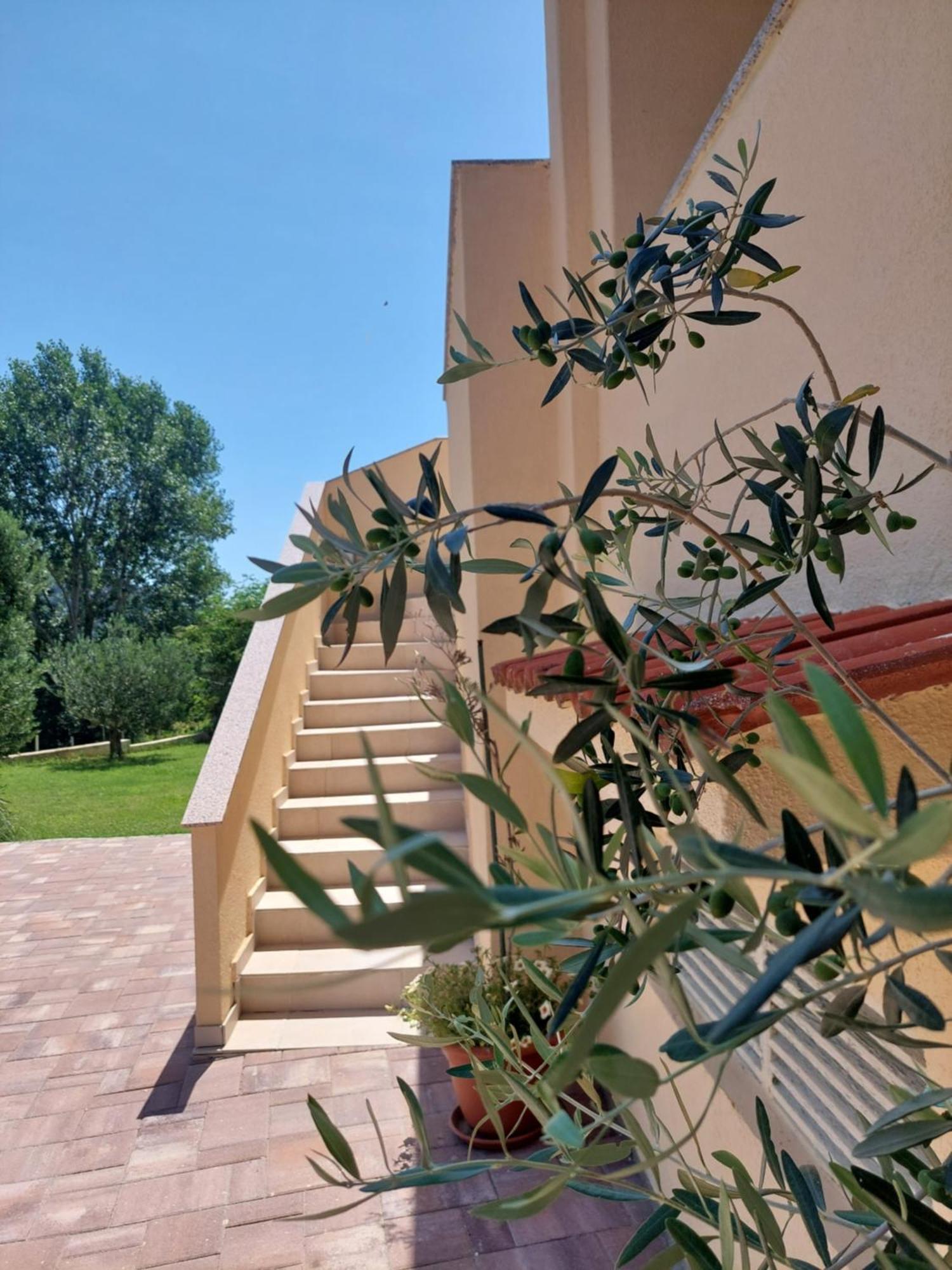 Novouredeni Apartman Marko Mundanije Exterior photo